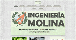 Desktop Screenshot of ingenieriamolina.com