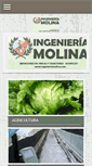 Mobile Screenshot of ingenieriamolina.com