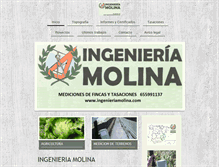 Tablet Screenshot of ingenieriamolina.com